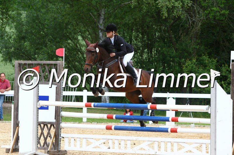 006M7422_Spring L.JPG